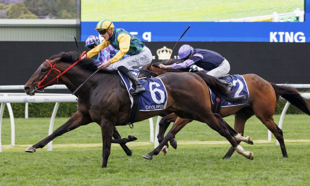 日在接受媒 日在接受媒