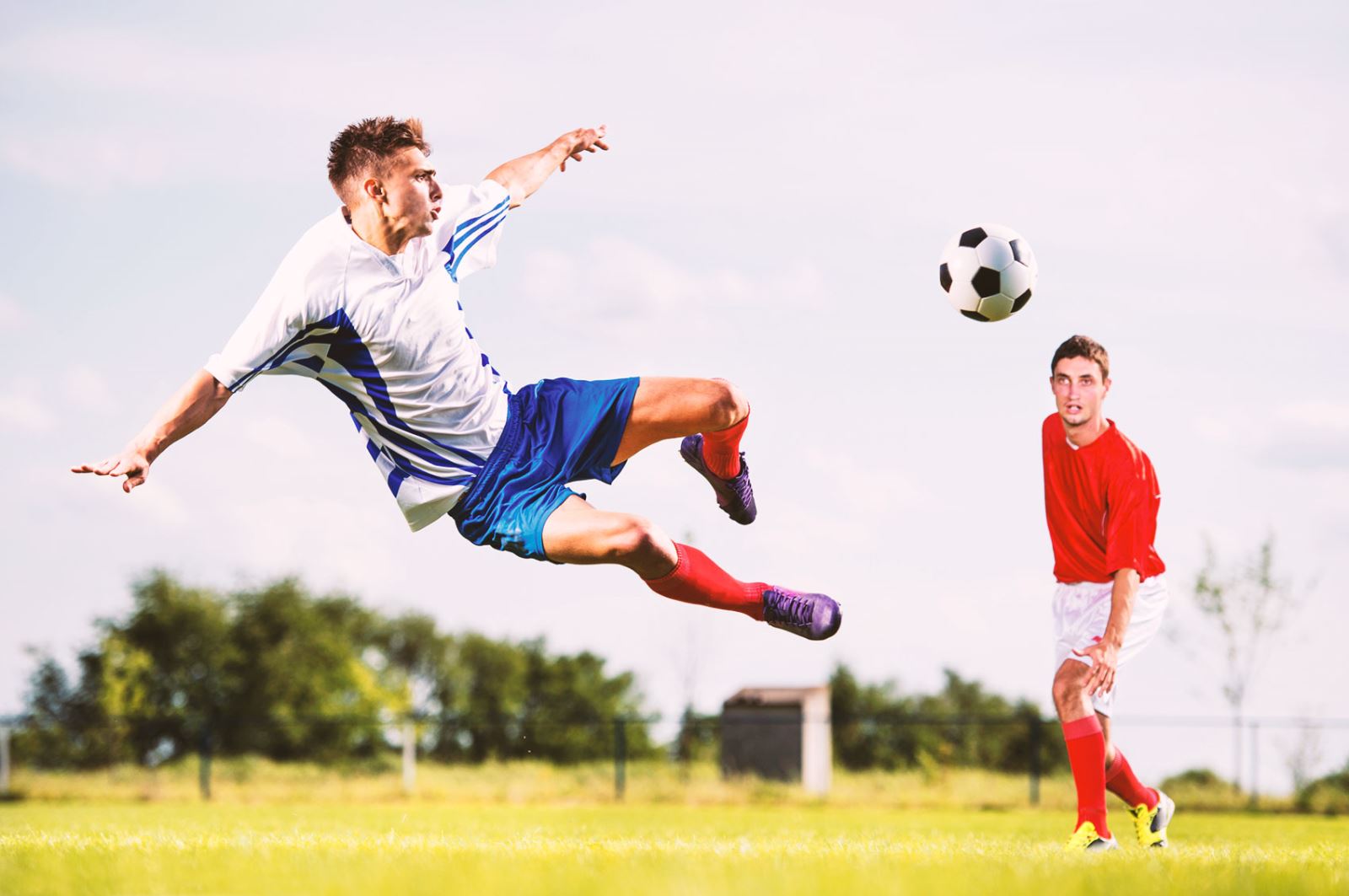 蕴和期待的 蕴和期待的