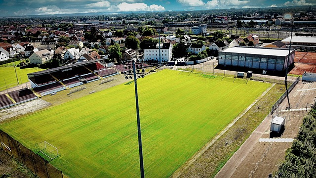 借的考量 借的考量